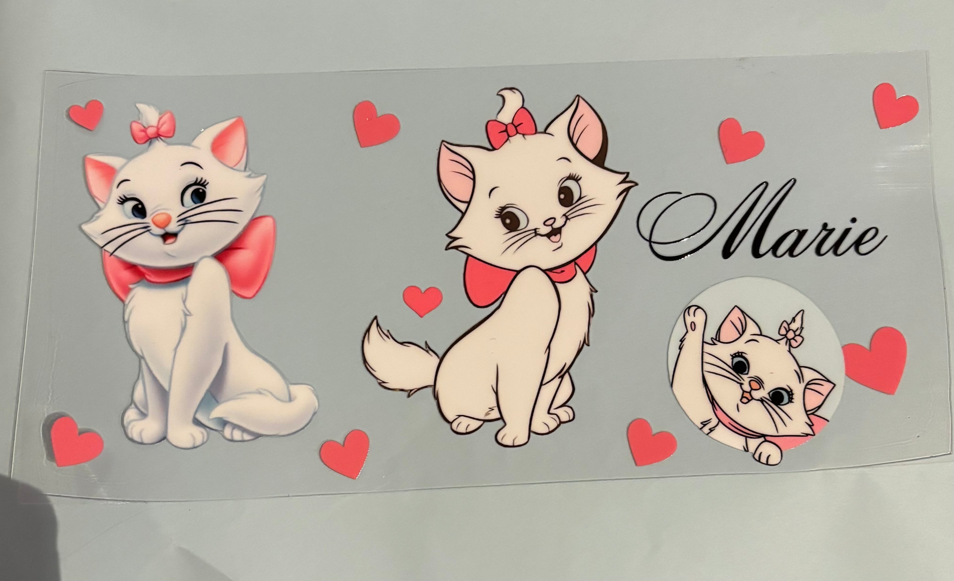 Marie the cat