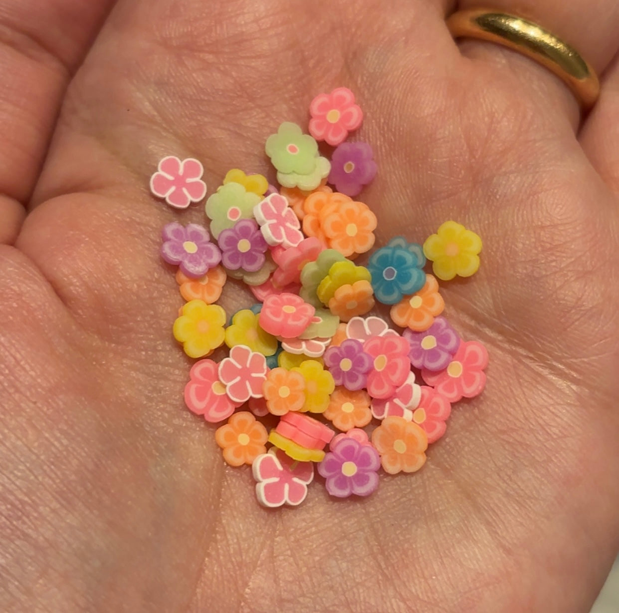 Colorful flowers