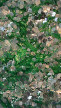 Disco Moss