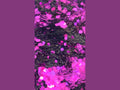 Magenta Mirage
