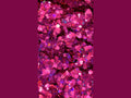 Purple chunky glitter with blue pink and light purple color shift