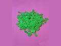 Bright green bone-shaped confetti on pink background
